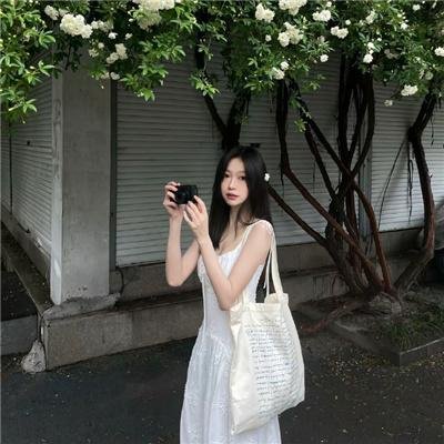 真假维梅尔 在线观看